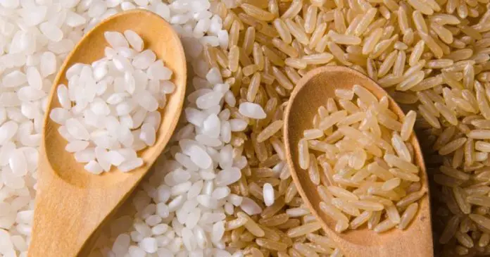 biały i brązowy ryż